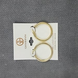 Gold hoop earrings